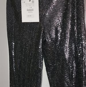 Sequin pants..size large by Zara